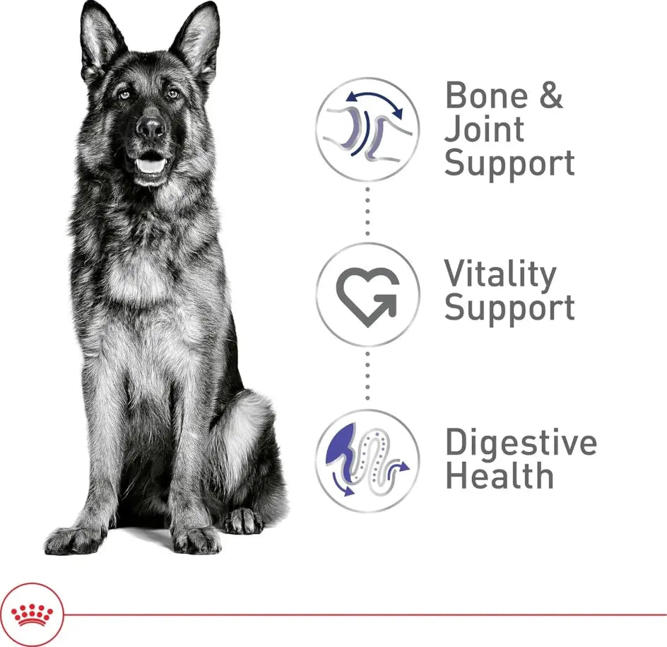 Nutritious Vegetable Flavor Large Adult Dog Food 30 lb, Supports Aging Canines -  Royal Canin
