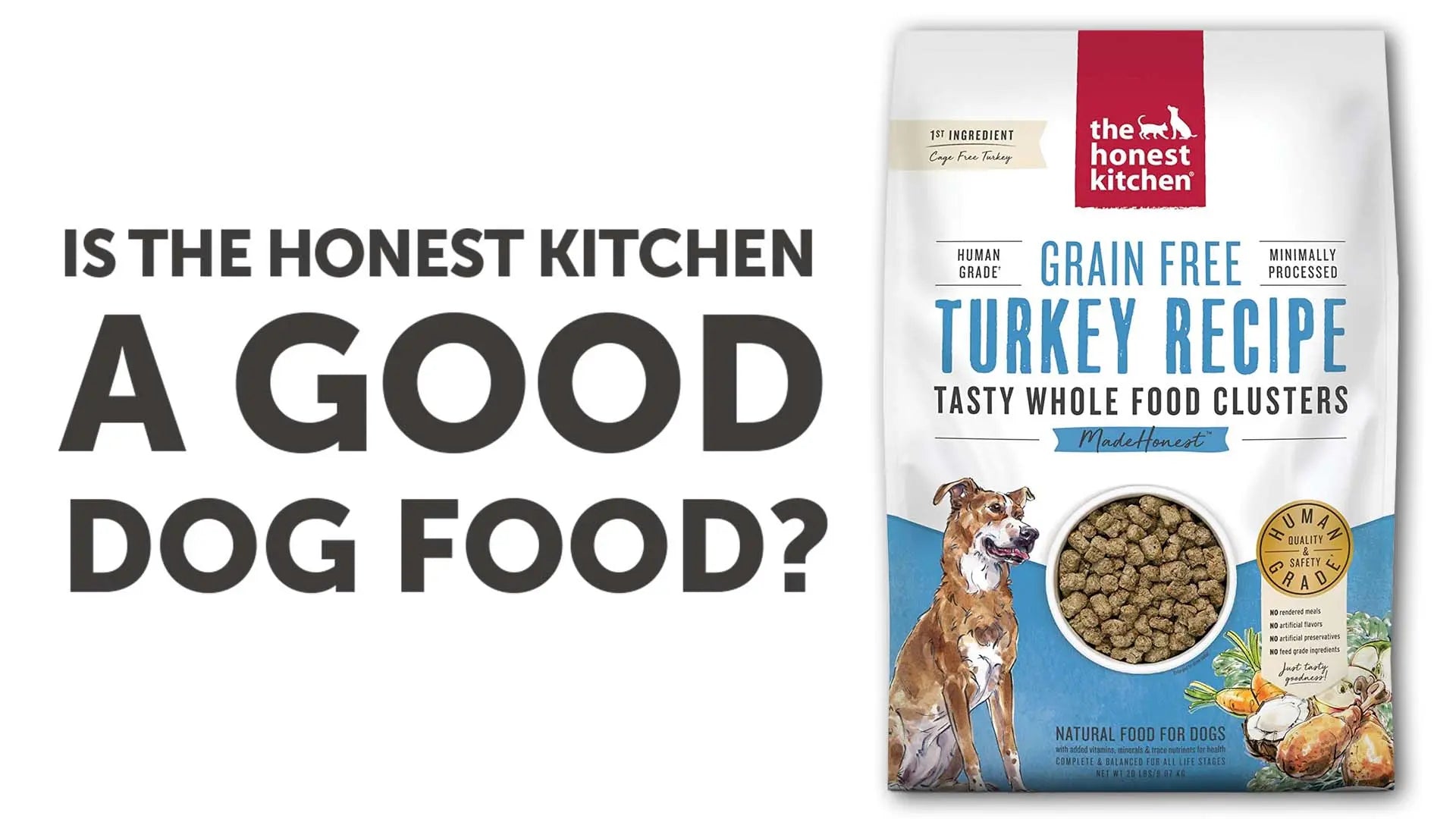 The Honest Kitchen Dog Food Grain Free Turkey Recipe 2 Lbs -  The Honest Kitchen
